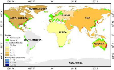 Economic Evaluation and Systematic Review of Salt Marsh Restoration Projects at a Global Scale